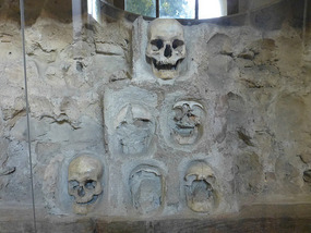 Skull Formation