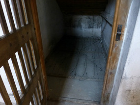 Barbed Wire Floor