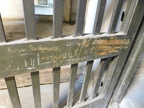 Door Scratchings