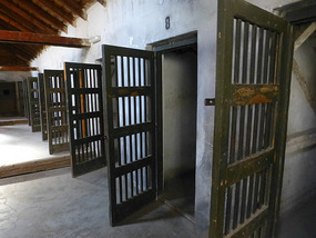 Row of Cells