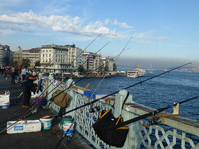 Many Fishing Rods