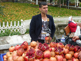Fruit Juice Maker