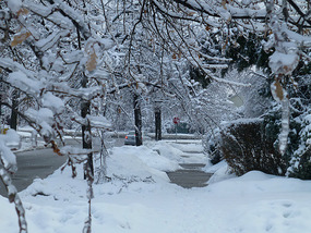 Christmas Ice Storm