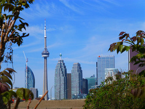 New Downtown Towers