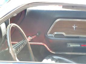 Auto Show