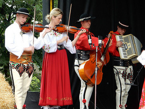 Musicians
