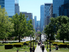 University Ave