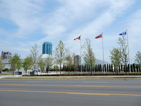 Flags
