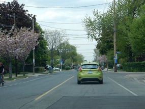 Spring Blossom