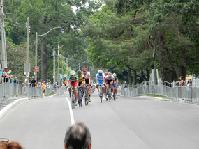 Colborne Lodge Drive
