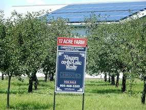 Farm For Sale