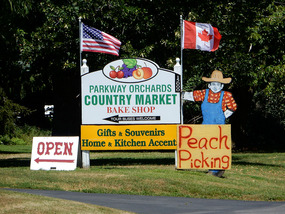 Fruit Stand