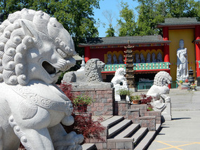Lions