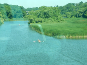 Mississauga River