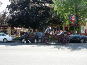 Horse Carriage