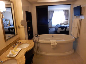 Ensuite Sliding Doors