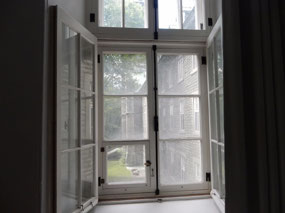 Window