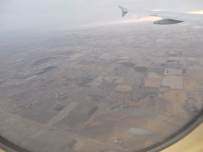 Brown Fields