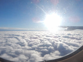 Sunlight
