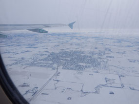 Snowscape