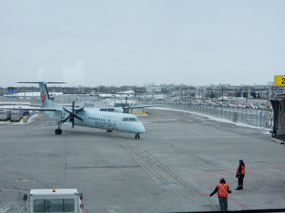 Plane Arrives