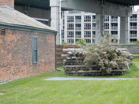 Grounds
