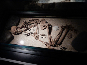 Museum Pics