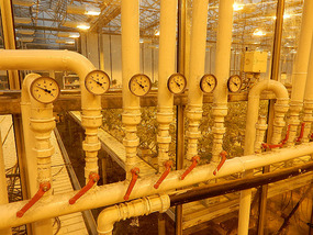 Control Gauges