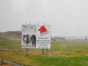 Horse Farm