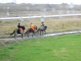 Horse Trekking