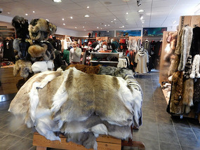 Tourist Shop