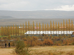 Landscape