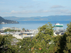 Panorama View