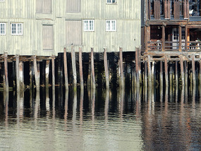 Stilts