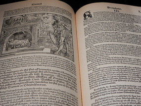 Bible Text