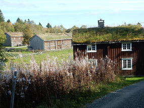 Grass Roof