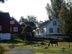 Traditional Architecture