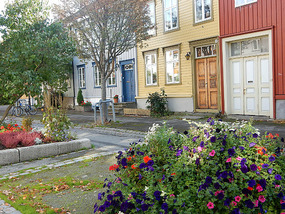 Colourful Street