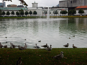 City Park