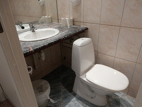 Reversed Toilet