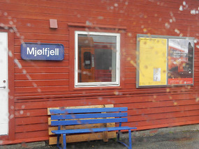 Local Station