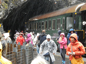 Rain Soaked