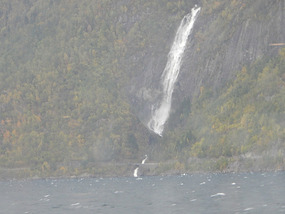 Waterfall