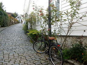 Bicycle