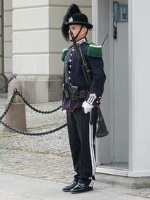 Sentry