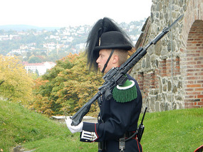 Sentry