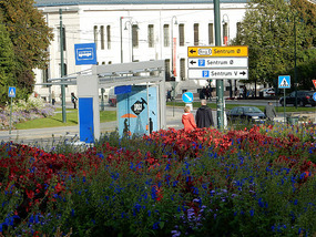 Street Gardens