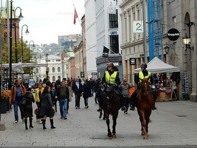 Horse Patrol