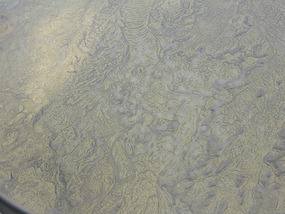 Topography