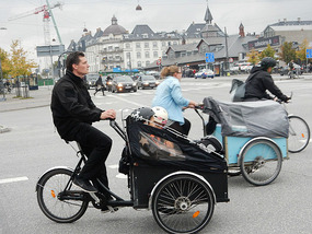 Family Buggies